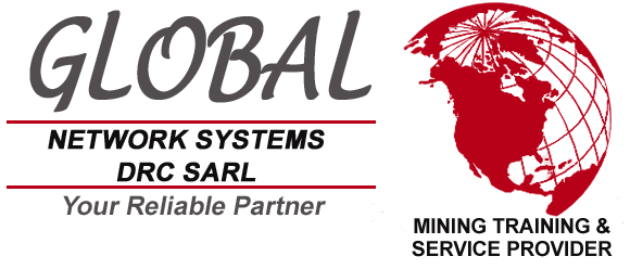 Global Network Systems DRC SARL — Votre partenaire de confiance